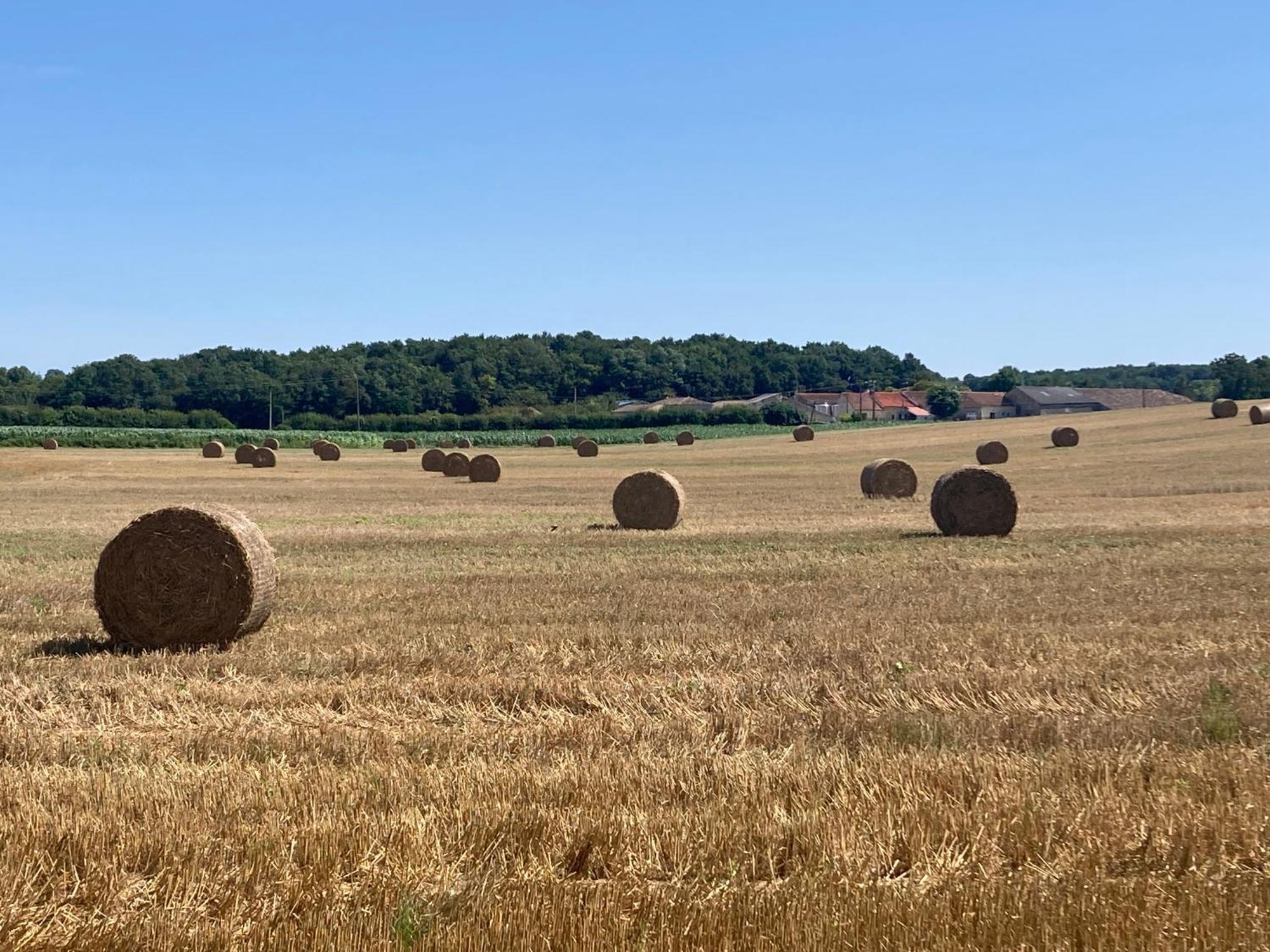 Les Ganivelles Lägenhet Saint-Dizant-du-Gua Exteriör bild